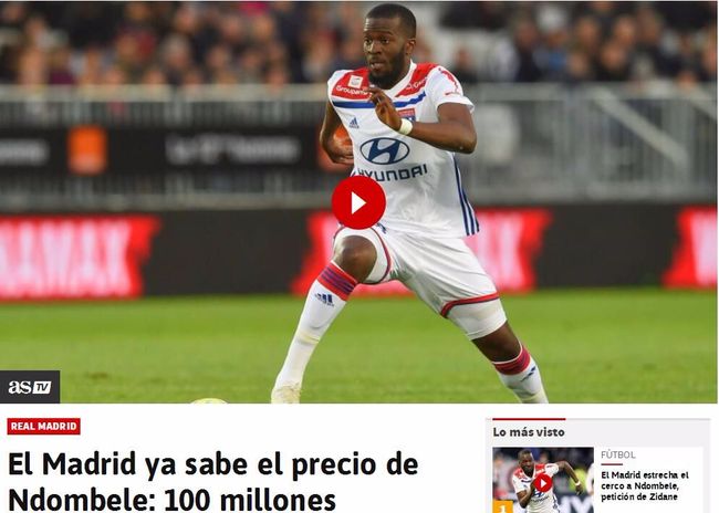 博彩公司宠物友好办公室政策