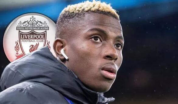 热议国足选帅：本土教练是陪标的；选土帅洋帅都是领导一句话（国足选帅惹热议：本土教练成陪跑，土洋之争终听领导一声令下）