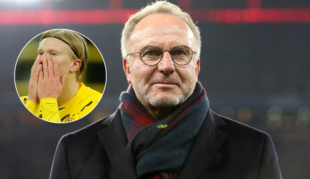 面用躯