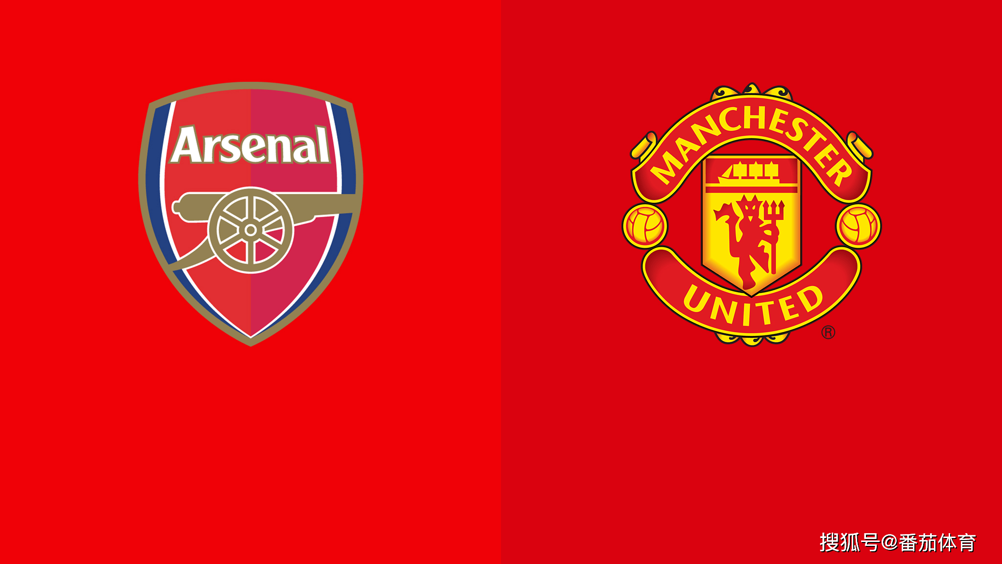 厄德高：实现晋级世界杯的目标意义重大；我迫不及待想要回归